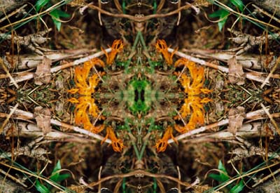 Spiegelbild 1